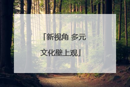 新视角 多元文化壁上观