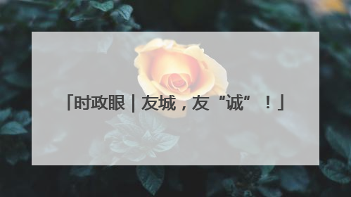 时政眼｜友城，友“诚”！