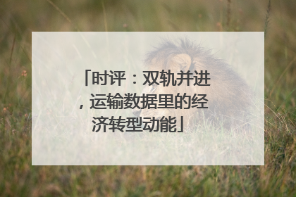 时评：双轨并进，运输数据里的经济转型动能