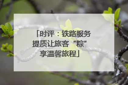 时评：铁路服务提质让旅客“粽”享温馨旅程