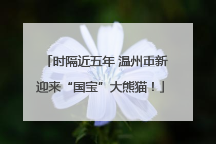 时隔近五年 温州重新迎来“国宝”大熊猫！