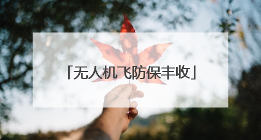 无人机飞防保丰收