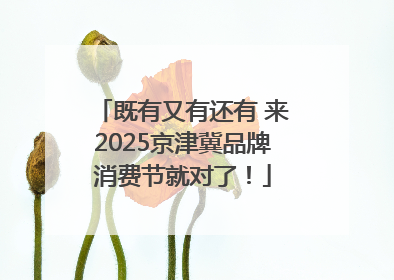 既有又有还有 来2025京津冀品牌消费节就对了！