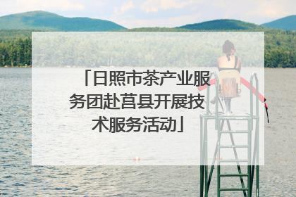 日照市茶产业服务团赴莒县开展技术服务活动