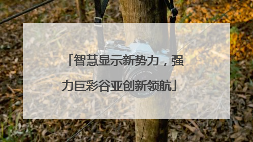 智慧显示新势力，强力巨彩谷亚创新领航