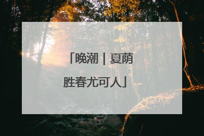 晚潮｜夏荫胜春尤可人