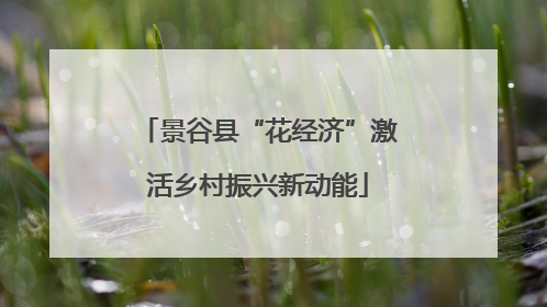 景谷县“花经济”激活乡村振兴新动能