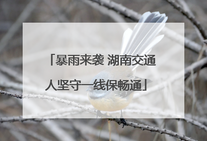 暴雨来袭 湖南交通人坚守一线保畅通