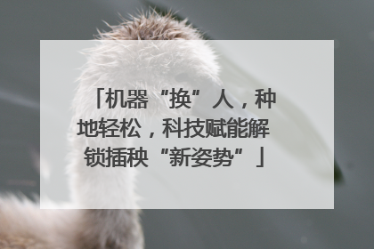 机器“换”人，种地轻松，科技赋能解锁插秧“新姿势”