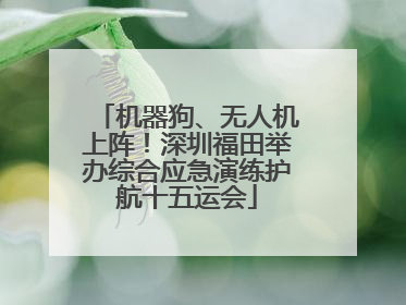机器狗、无人机上阵！深圳福田举办综合应急演练护航十五运会