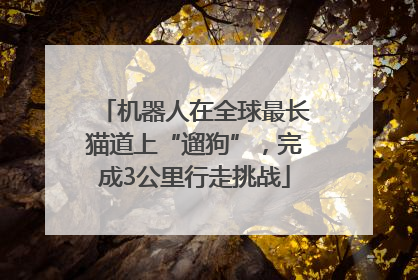 机器人在全球最长猫道上“遛狗”，完成3公里行走挑战