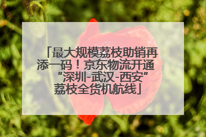 最大规模荔枝助销再添一码！京东物流开通“深圳-武汉-西安” 荔枝全货机航线