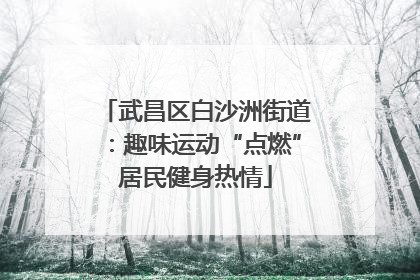 武昌区白沙洲街道：趣味运动“点燃”居民健身热情