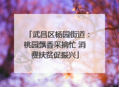 武昌区杨园街道：桃园飘香采摘忙 消费扶贫促振兴