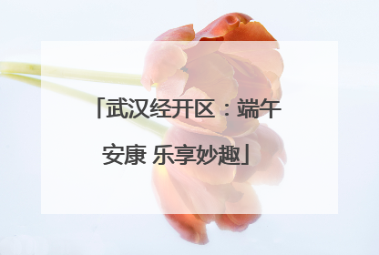 武汉经开区：端午安康 乐享妙趣