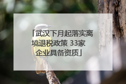 武汉下月起落实离境退税政策 33家企业具备资质