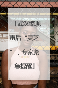 武汉惊现雨后“灵芝”，专家紧急提醒