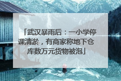 武汉暴雨后：一小学停课清淤，有商家称地下仓库数万元货物被泡