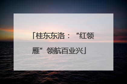 桂东东洛：“红领雁”领航百业兴