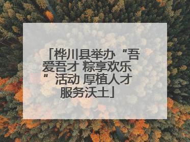 桦川县举办“吾爱吾才 粽享欢乐”活动 厚植人才服务沃土