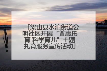 梁山县水泊街道公明社区开展“普惠托育 科学育儿”主题托育服务宣传活动