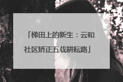 梯田上的新生：云和社区矫正五载耕耘路