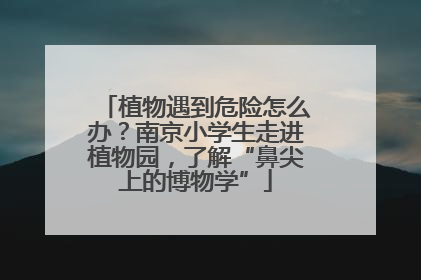 植物遇到危险怎么办？南京小学生走进植物园，了解“鼻尖上的博物学”