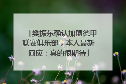 樊振东确认加盟德甲联赛俱乐部，本人最新回应：真的很期待
