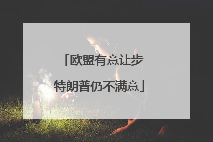 欧盟有意让步 特朗普仍不满意