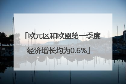 欧元区和欧盟第一季度经济增长均为0.6%