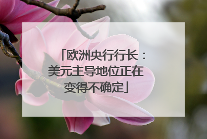 欧洲央行行长：美元主导地位正在变得不确定