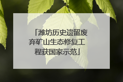 潍坊历史遗留废弃矿山生态修复工程获国家示范