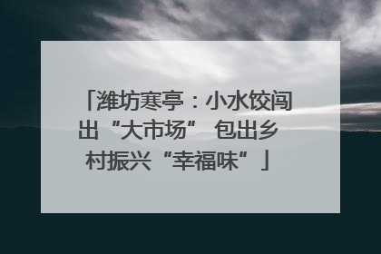 潍坊寒亭：小水饺闯出“大市场” 包出乡村振兴“幸福味”