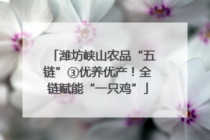 潍坊峡山农品“五链”③优养优产！全链赋能“一只鸡”