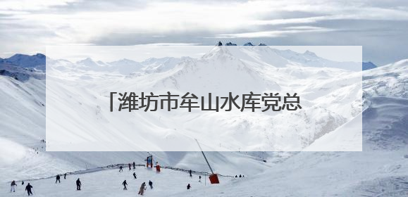 潍坊市牟山水库党总支：科学调配水资源 保障区域供水安全