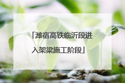 潍宿高铁临沂段进入架梁施工阶段