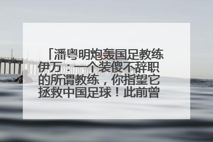 潘粤明炮轰国足教练伊万：一个装傻不辞职的所谓教练，你指望它拯救中国足球！此前曾多次发文评价国足