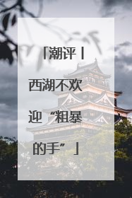 潮评丨西湖不欢迎“粗暴的手”
