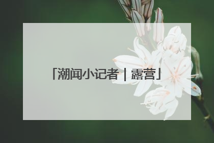 潮闻小记者｜露营
