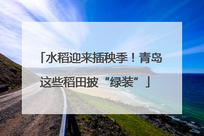 水稻迎来插秧季！青岛这些稻田披“绿装”