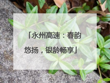 永州高速：春韵悠扬，银龄畅享