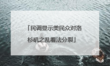民调显示美民众对洛杉矶之乱看法分裂