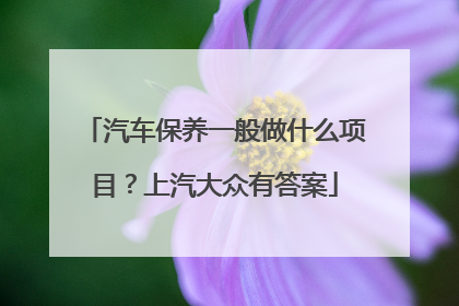 汽车保养一般做什么项目？上汽大众有答案
