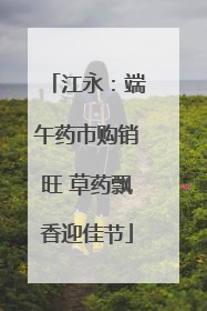 江永：端午药市购销旺 草药飘香迎佳节
