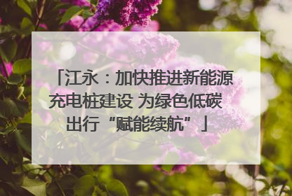 江永：加快推进新能源充电桩建设 为绿色低碳出行“赋能续航”
