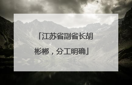 江苏省副省长胡彬郴，分工明确