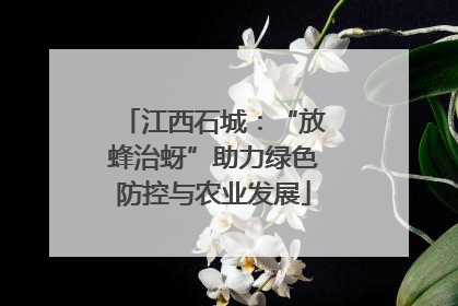 江西石城：“放蜂治蚜”助力绿色防控与农业发展