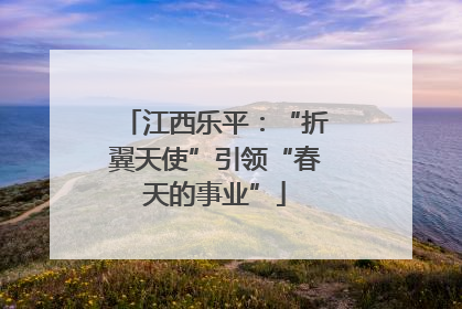 江西乐平：“折翼天使”引领“春天的事业”