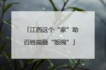 江西这个“家”助百姓端稳“饭碗”