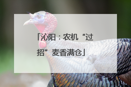 沁阳：农机“过招”麦香满仓